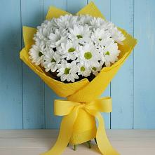 Букет цветов из:  Хризантемы в Светлом Калининградской области