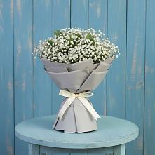 Букет цветов из:  Гипсофила в Светлом Калининградской области