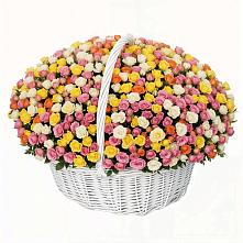 Премиум букет из: Розы в Светлом Калининградской области