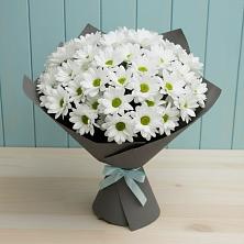 Букет цветов из:  Хризантемы в Светлом Калининградской области