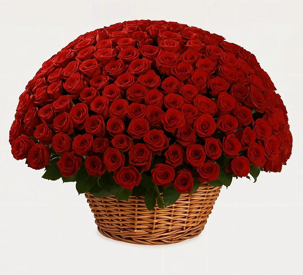 Премиум букет из: Розы в Светлом Калининградской области