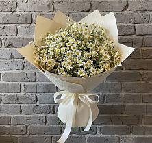 Букет цветов из:  Ромашки в Светлом Калининградской области