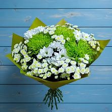 Букет цветов из:  Хризантемы в Светлом Калининградской области