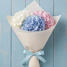 Букет цветов из:  Гортензия в Светлом Калининградской области