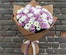 Букет цветов из:  Хризантемы в Светлом Калининградской области