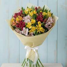 Букет цветов из:  Альстромерии в Светлом Калининградской области