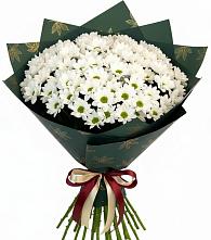 Букет цветов из:  Хризантемы в Светлом Калининградской области