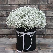 Цветочная композиция из Гипсофила в шляпной коробке в Светлом Калининградской области