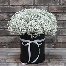 Цветочная композиция из Гипсофила в шляпной коробке в Светлом Калининградской области