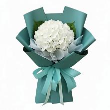 Букет цветов из:  Гортензия #REPLACE_PRED# Светлом Калининградской области